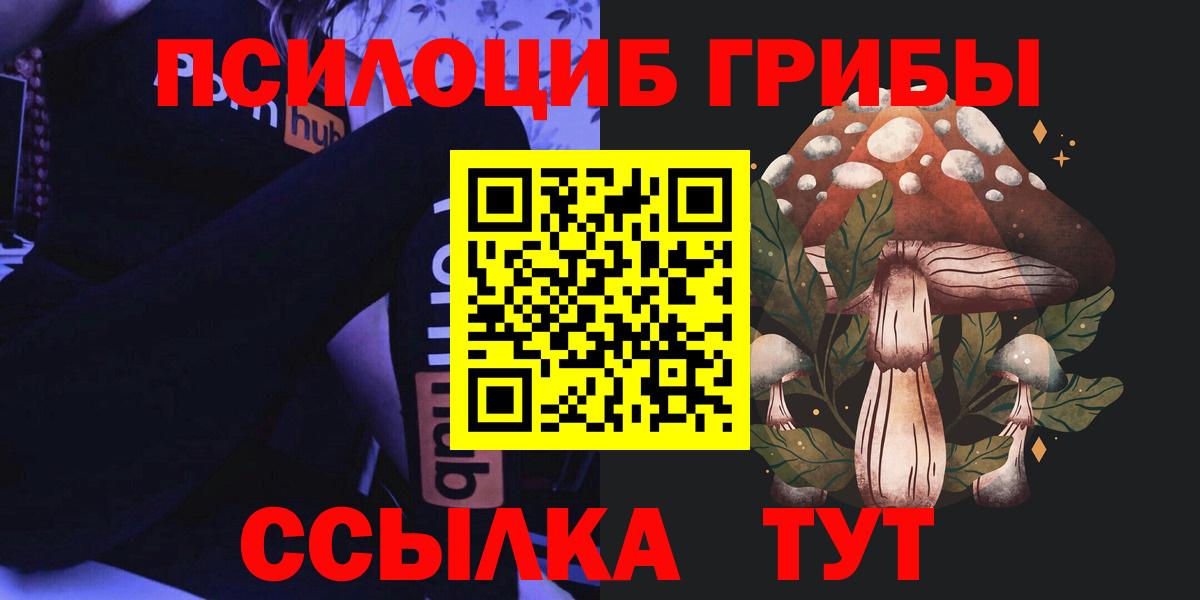 магазин    Вход с VPN  Аксай  Галлюциногенные грибы Psilocybe 